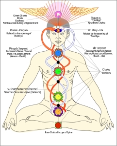 On depiction of the kundalini rising through the nadis, opening the chakras.